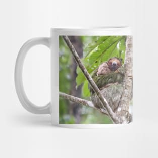 Three-toed Sloth - Costa Rica Mug